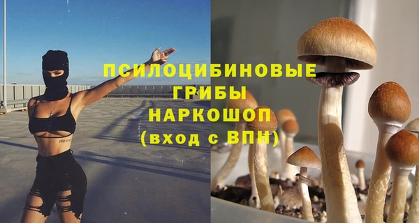 мескалин Новокубанск